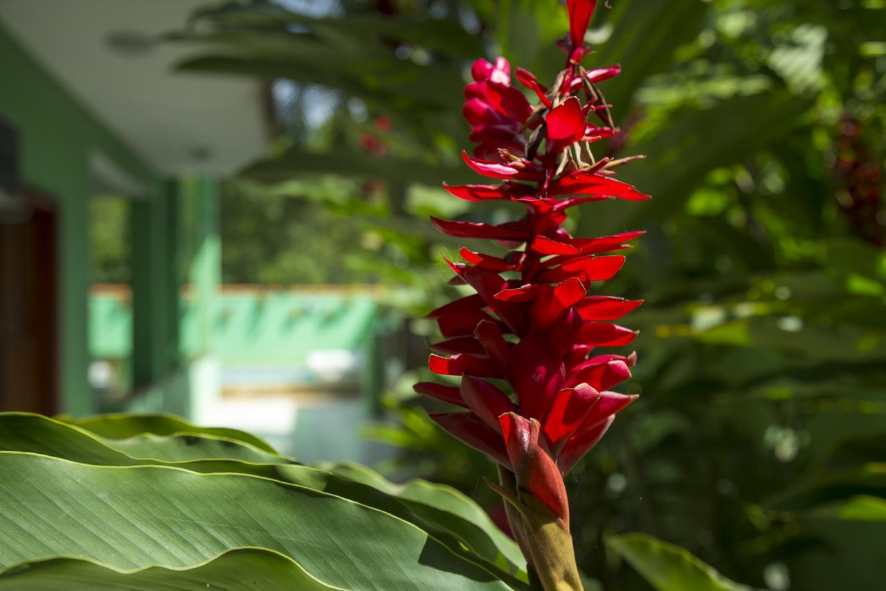 Inn Camila Paraty